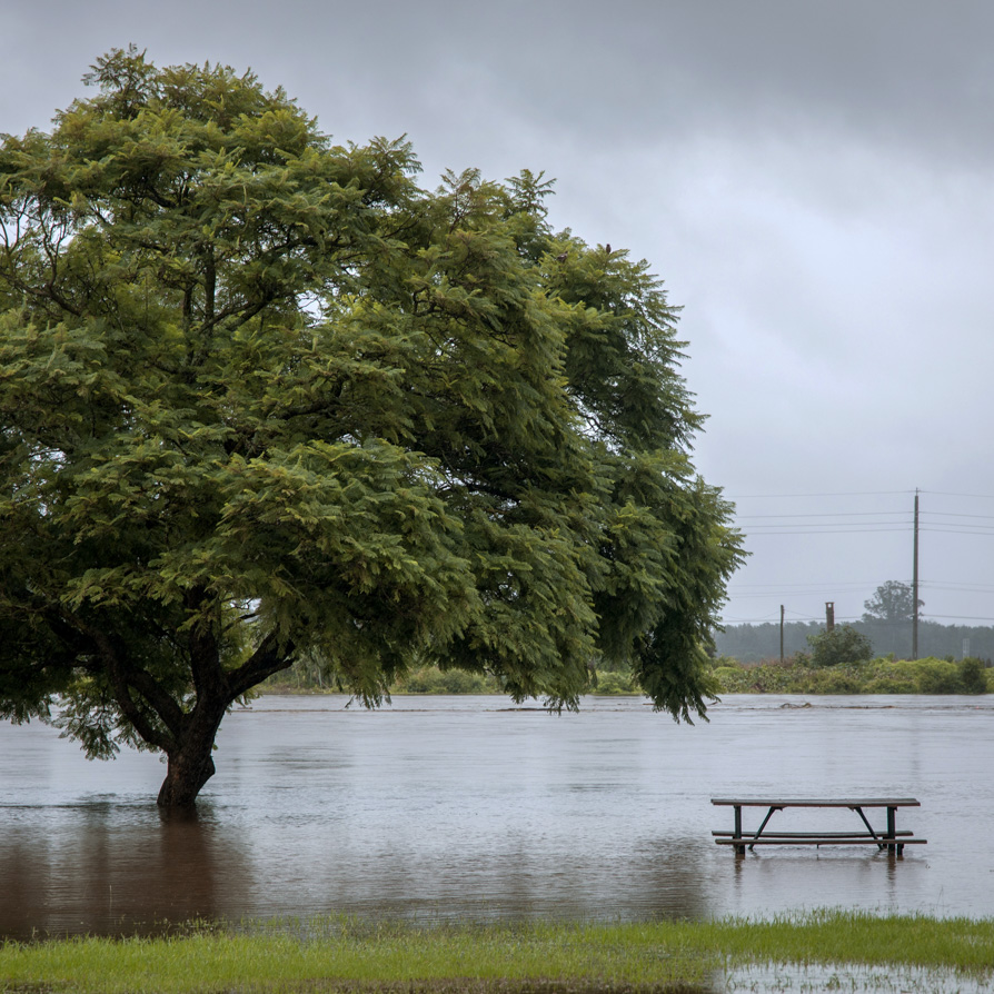Flooded-Park-Square_Cropped